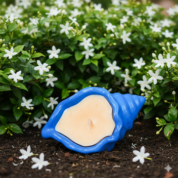 Moonlit Jasmine Candle | Shankh