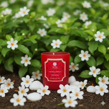 Premium Parijat Candle | Shot Glass
