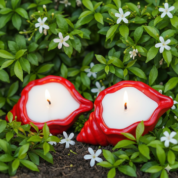 Premium Parijat Candle| Shankh Set of 2