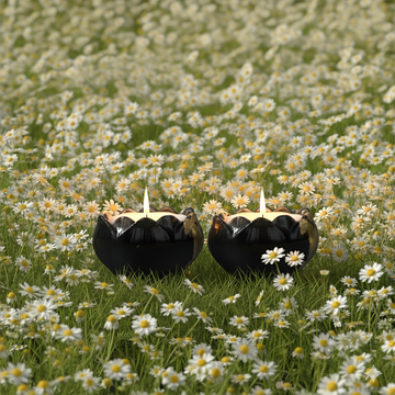 Tranquil Chamomile Candle | Lotus Set of 2