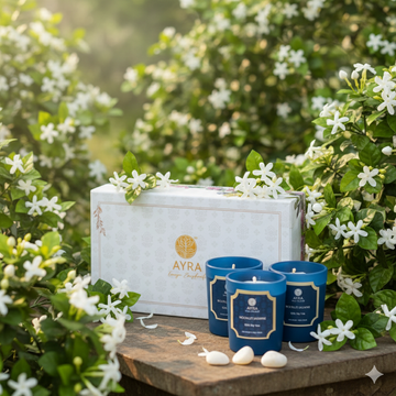 Moonlit Jasmine Candle | Set of 3