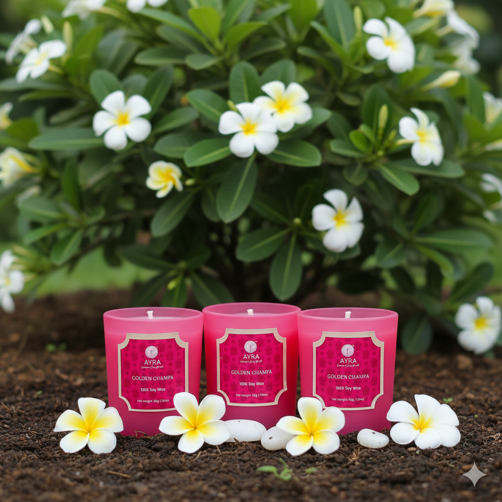 Golden Champa Candle | Set of 3